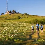 Serene Retreat Near Apartma *