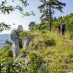 Serene Retreat Near Koper