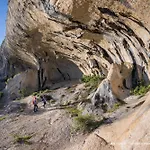 Serene Retreat Near Apartma