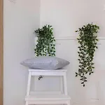 Serene Retreat Near Apartma