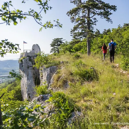 Surrounded By Forest With The Sea View Koper