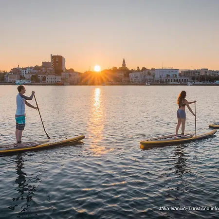 Surrounded By Forest With The Sea View