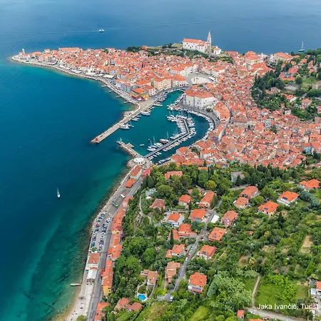 Appartement Surrounded By Forest With The Sea View