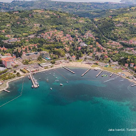 Apartment Martin And St Anton