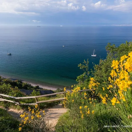Souranded By Forest With The Sea View * Koper