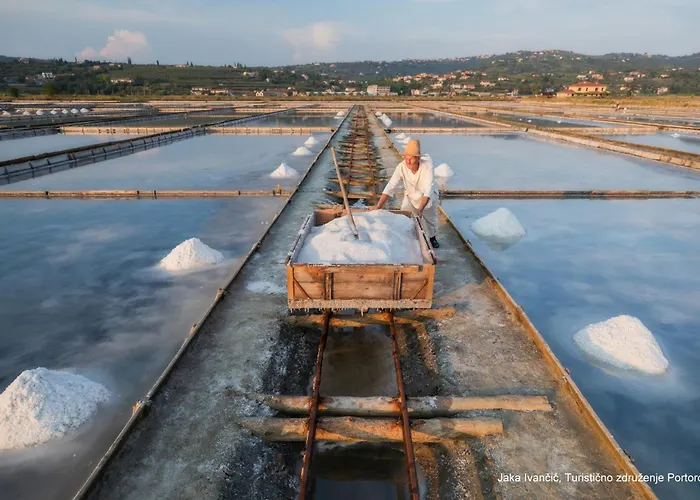 Martin And St Anton 公寓 科佩尔