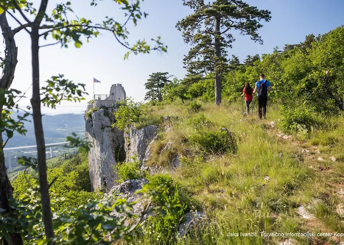Martin And St Anton 科佩尔