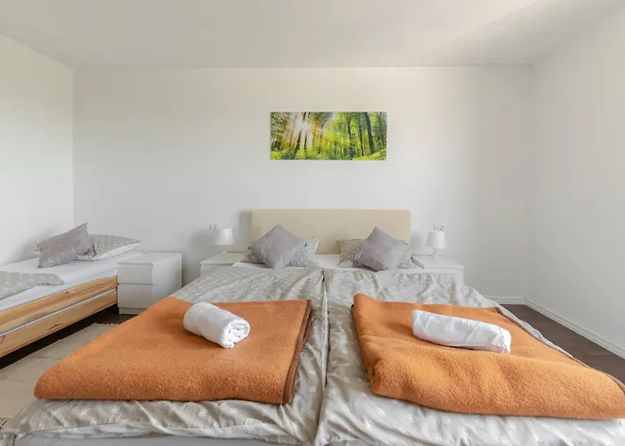 公寓 Martin And St Anton 科佩尔