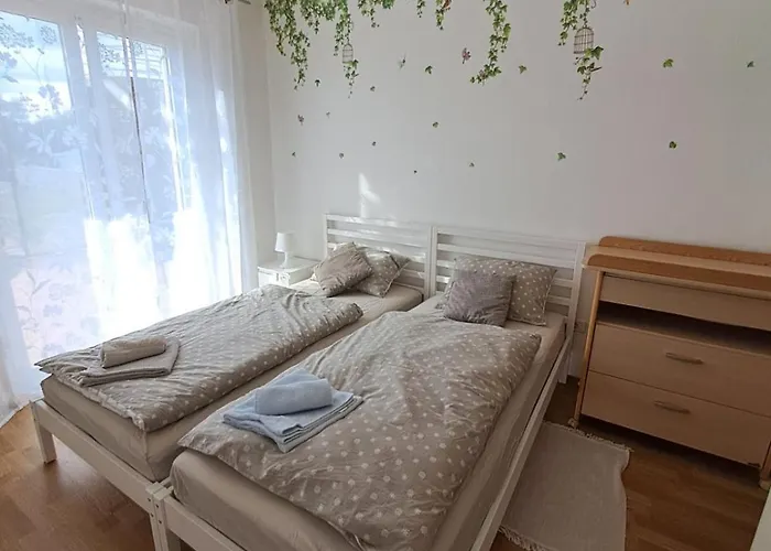 Martin And St Anton 公寓 科佩尔